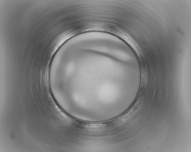 X0000115451290200911251259