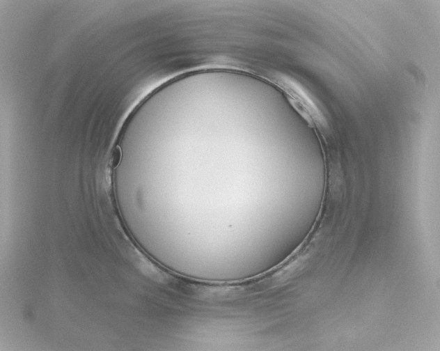 X0000115451292200911251259