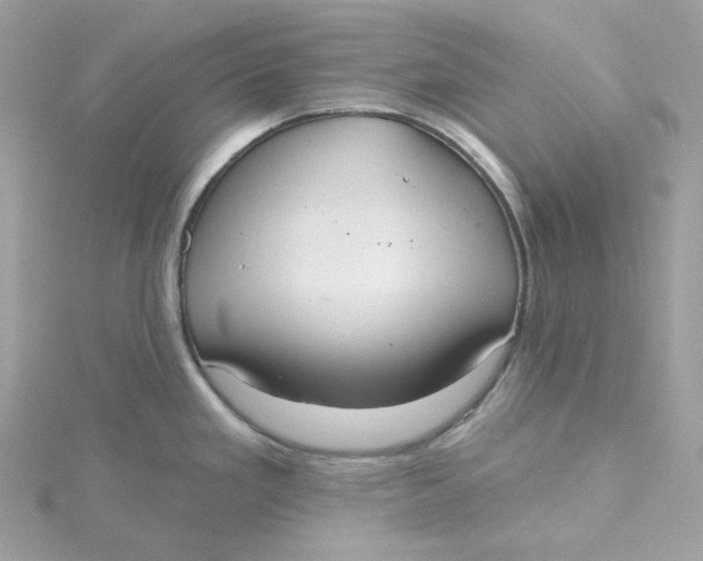 X0000115451293200911251259