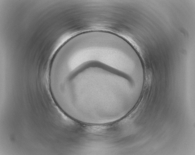 X0000115451294200911251259