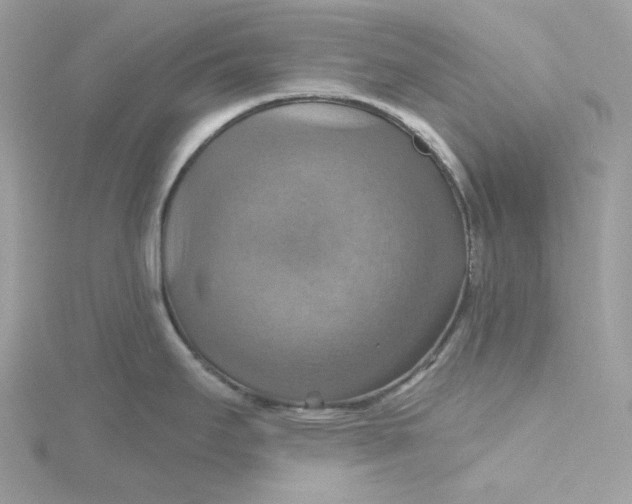 X0000115451295200911251259