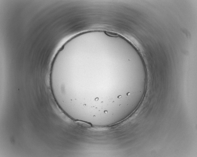 X0000115451296200911251259