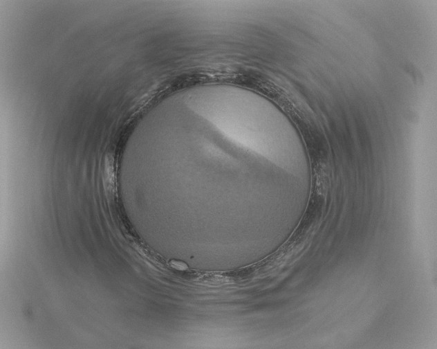 X0000115451298200911251258