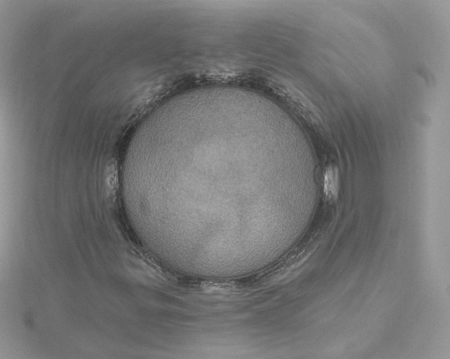 X0000115451299200911251258