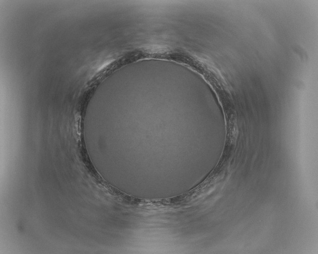 X0000115451301200911251258