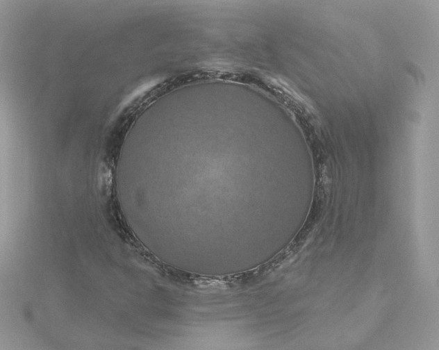 X0000115451302200911251259