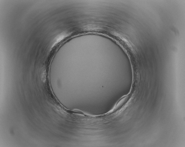 X0000115451306200911251259