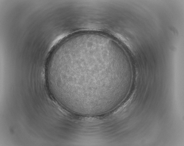 X0000115451307200911251259