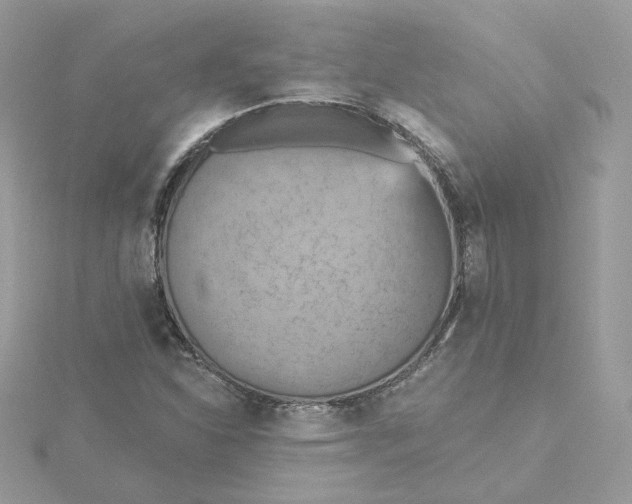 X0000115451310200911251259