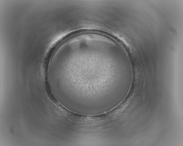 X0000115451311200911251259