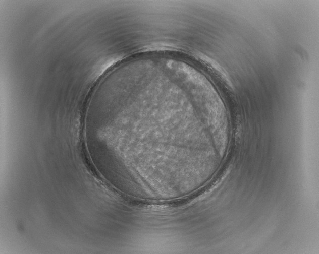 X0000115451313200911251259