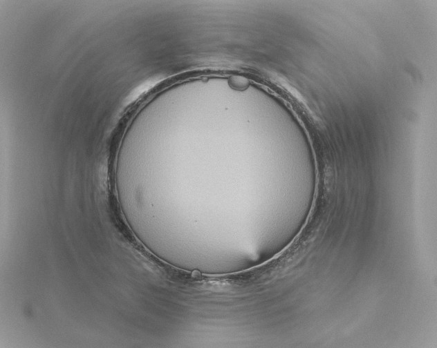 X0000115451315200911251259