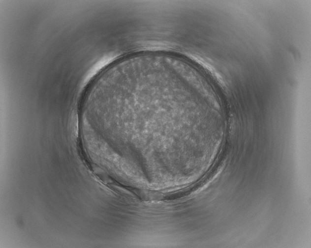 X0000115451317200911251259