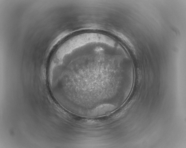 X0000115451318200911251259