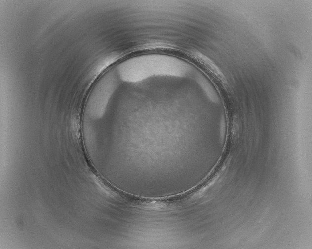 X0000115451321200911251259