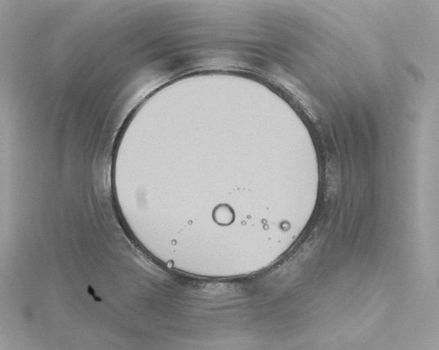 X0000115451322200911251259