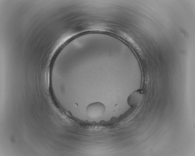 X0000115451323200911251259