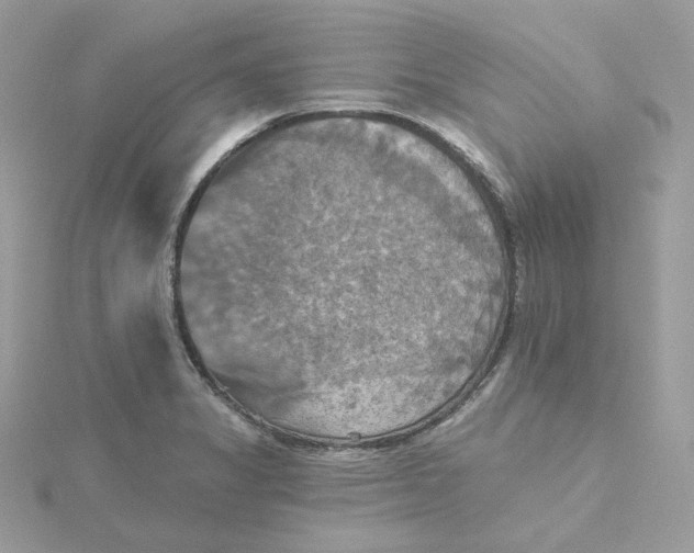 X0000115451325200911251259