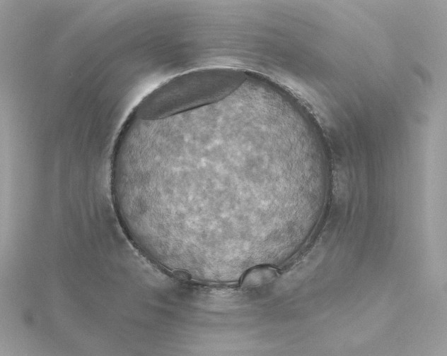 X0000115451326200911251259