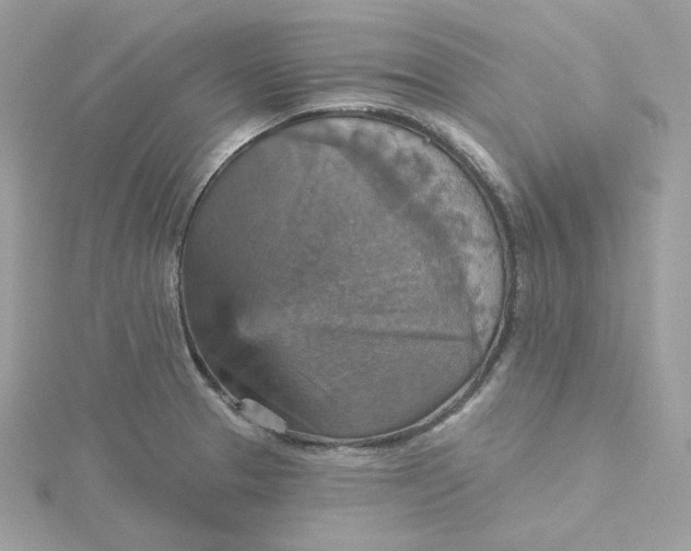 X0000115451329200911251259