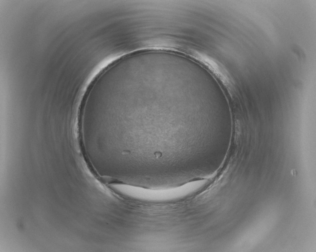 X0000115451331200911251259