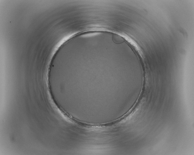 X0000115451333200911251259