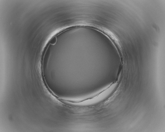 X0000115451334200911251259