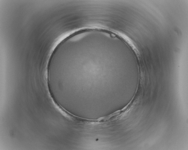 X0000115451335200911251259