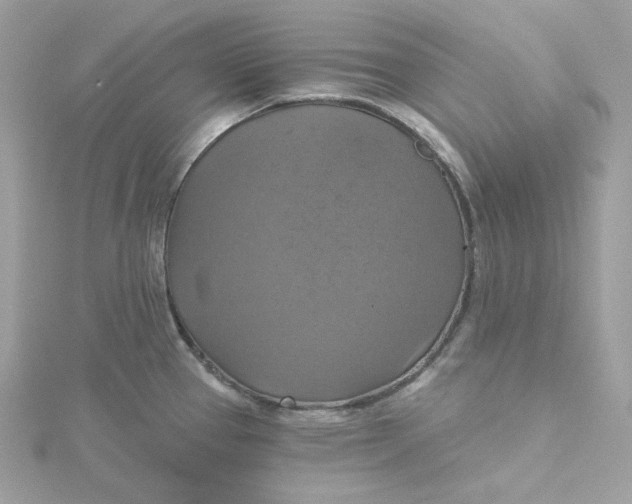 X0000115451337200911251259