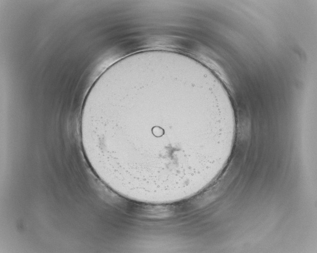 X0000115451338200911251259