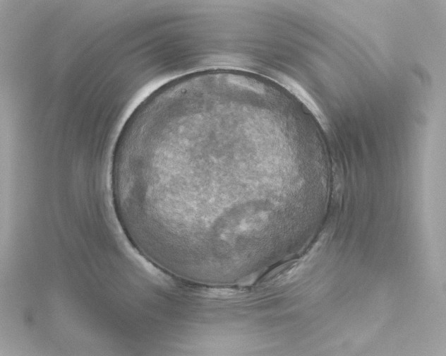 X0000115451339200911251259