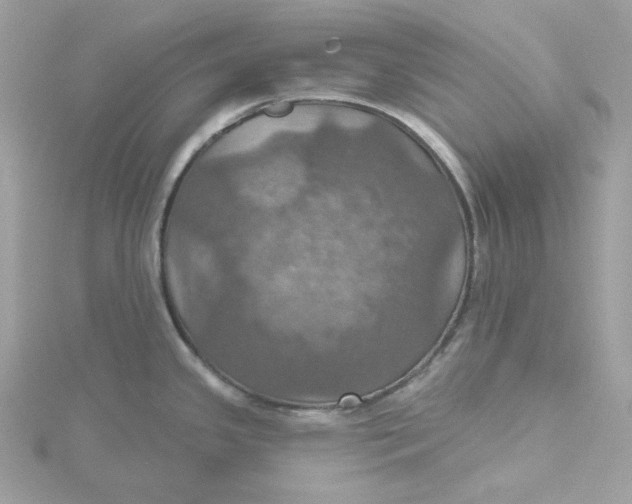 X0000115451341200911251259