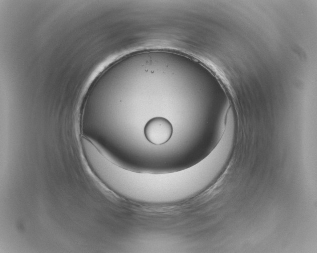 X0000115451342200911251259