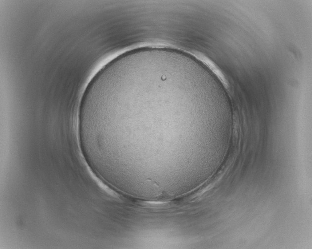 X0000115451343200911251259