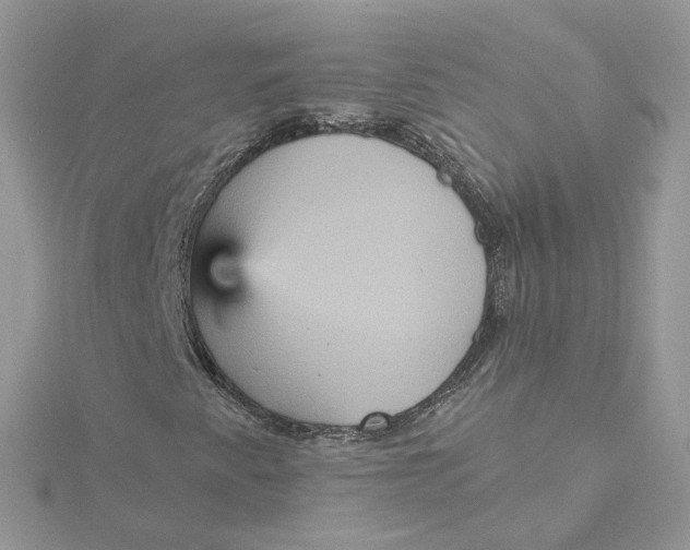 X0000115451345200911251258