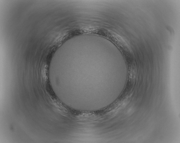 X0000115451346200911251258