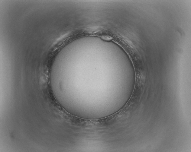 X0000115451349200911251258