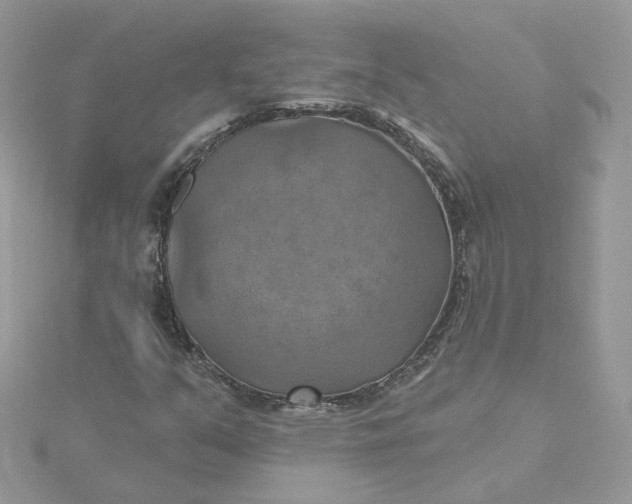 X0000115451351200911251258