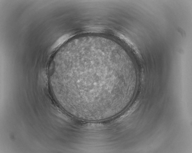 X0000115451354200911251258