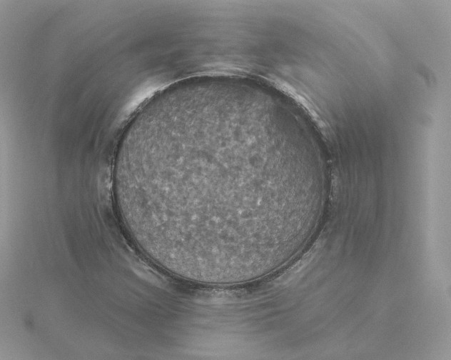 X0000115451355200911251258