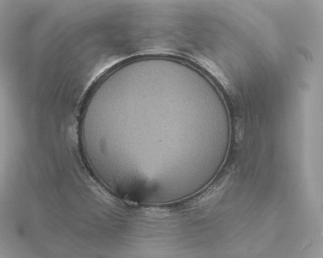 X0000115451356200911251258