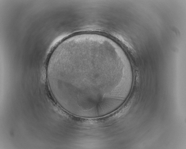 X0000115451358200911251258