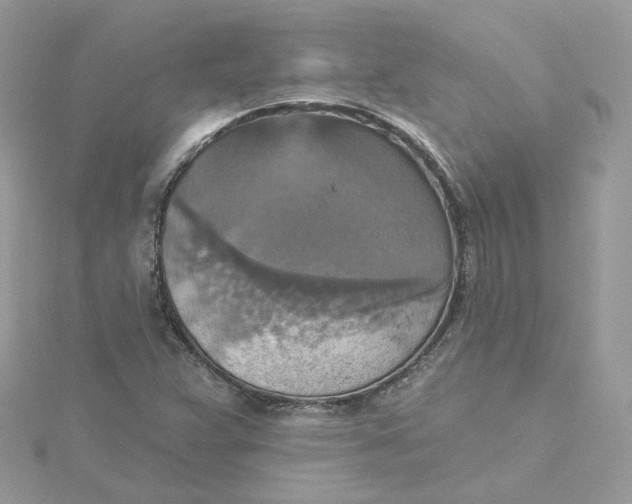 X0000115451359200911251258