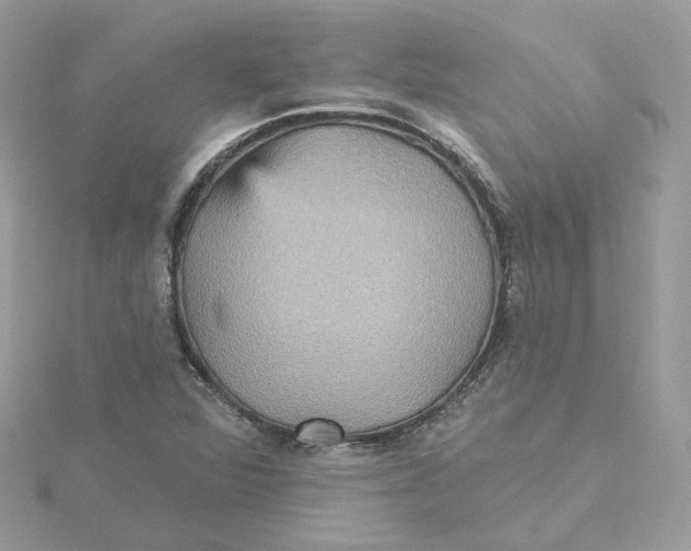 X0000115451360200911251258