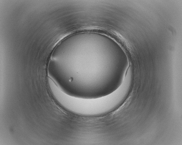 X0000115451361200911251258