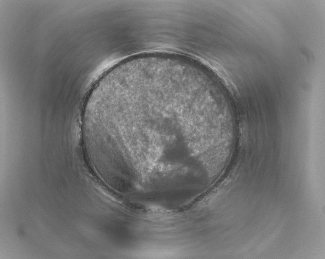 X0000115451363200911251258