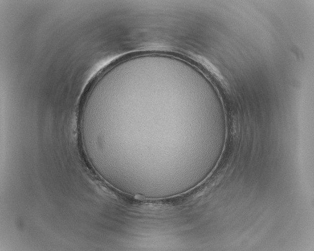 X0000115451364200911251258