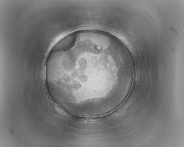 X0000115451366200911251258