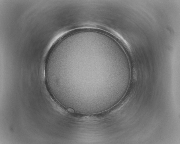 X0000115451368200911251258