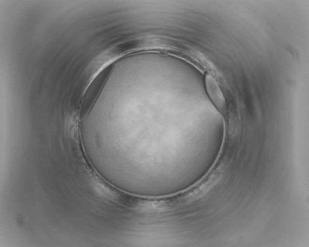 X0000115451369200911251258